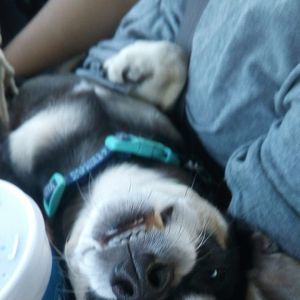 Meet your Posher, Fernando